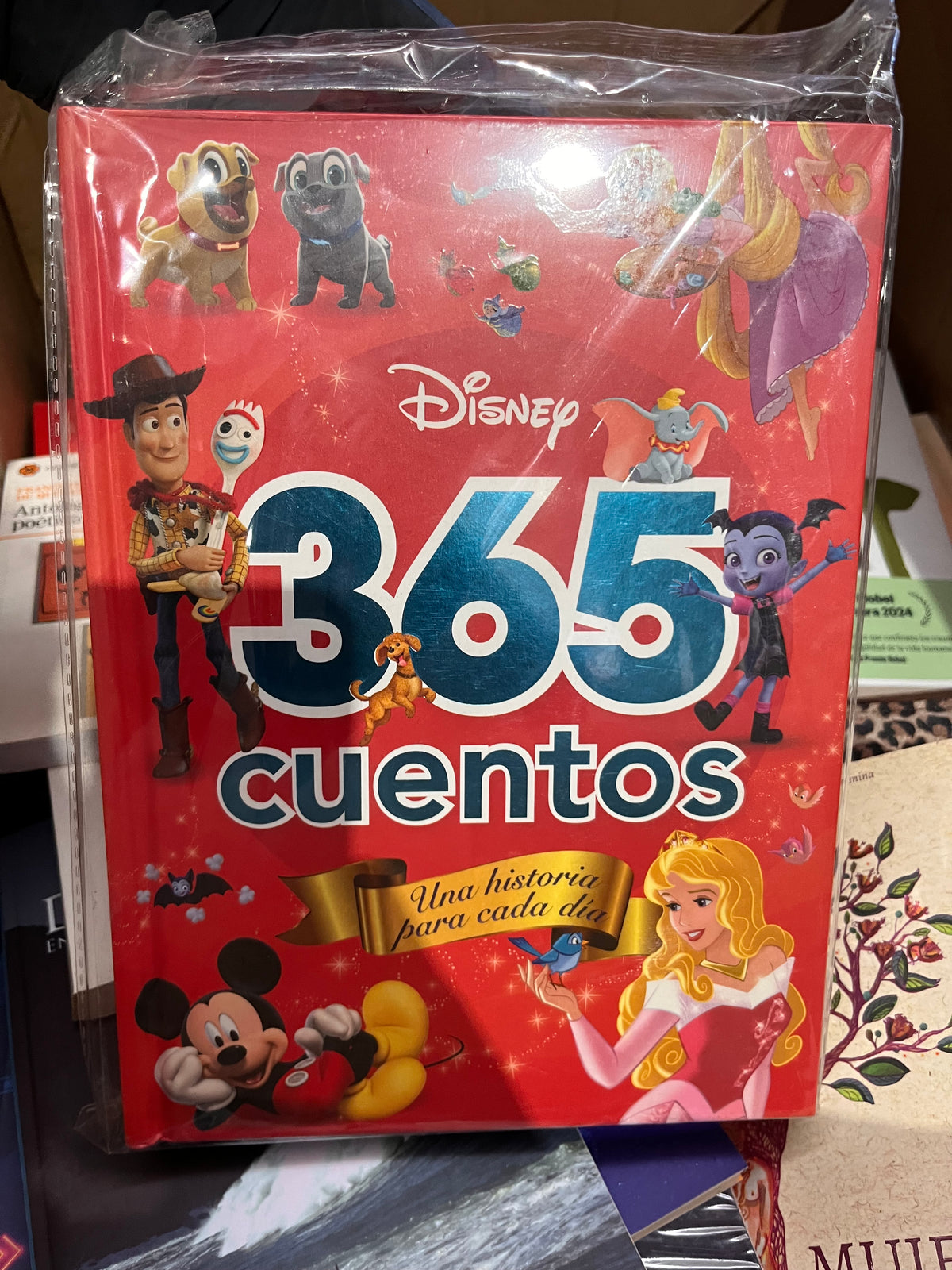 Lote de Librería y Oficina