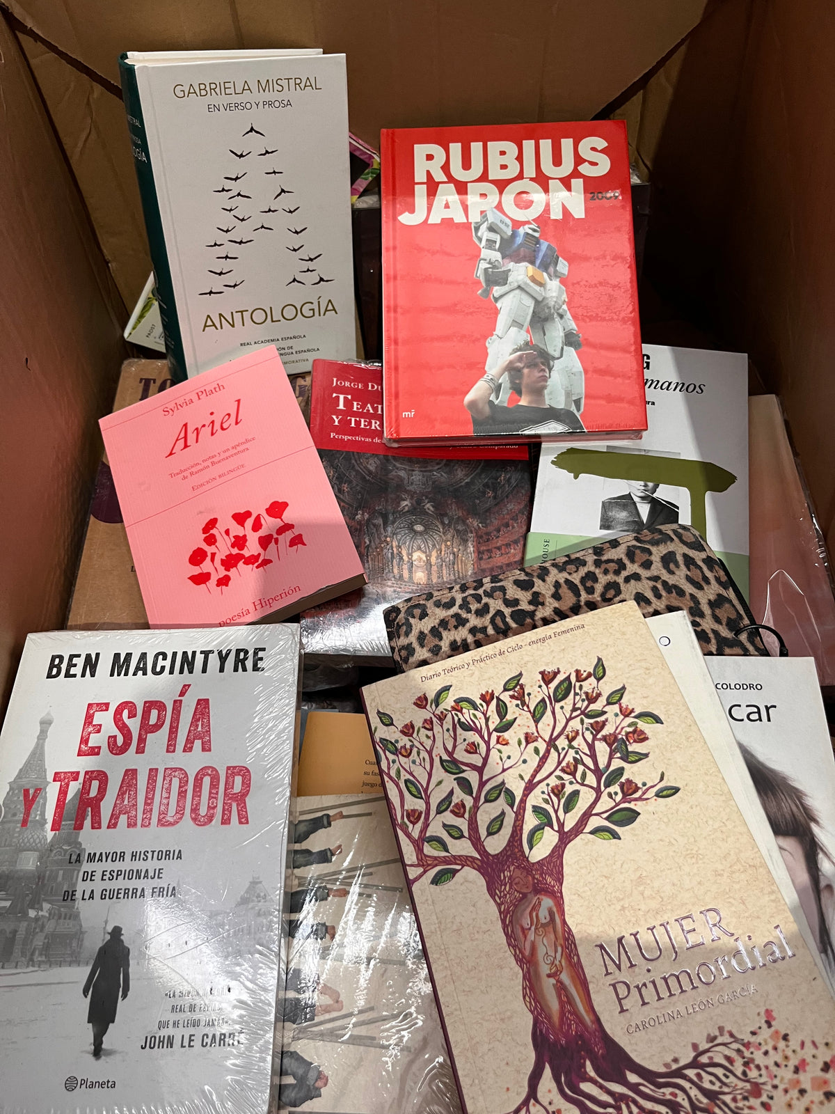 Lote de Librería y Oficina