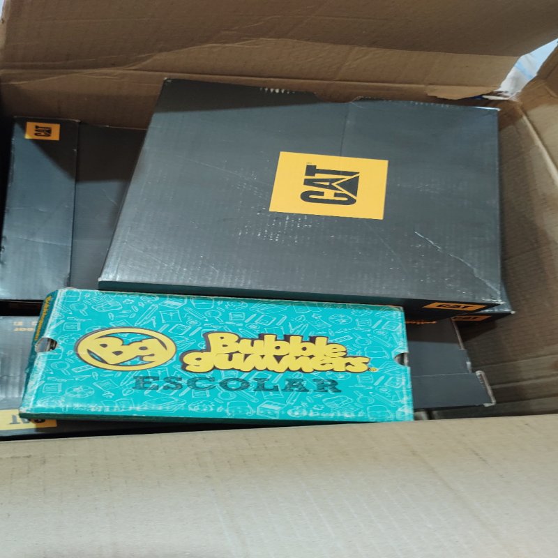 Lote de Calzado Femenino