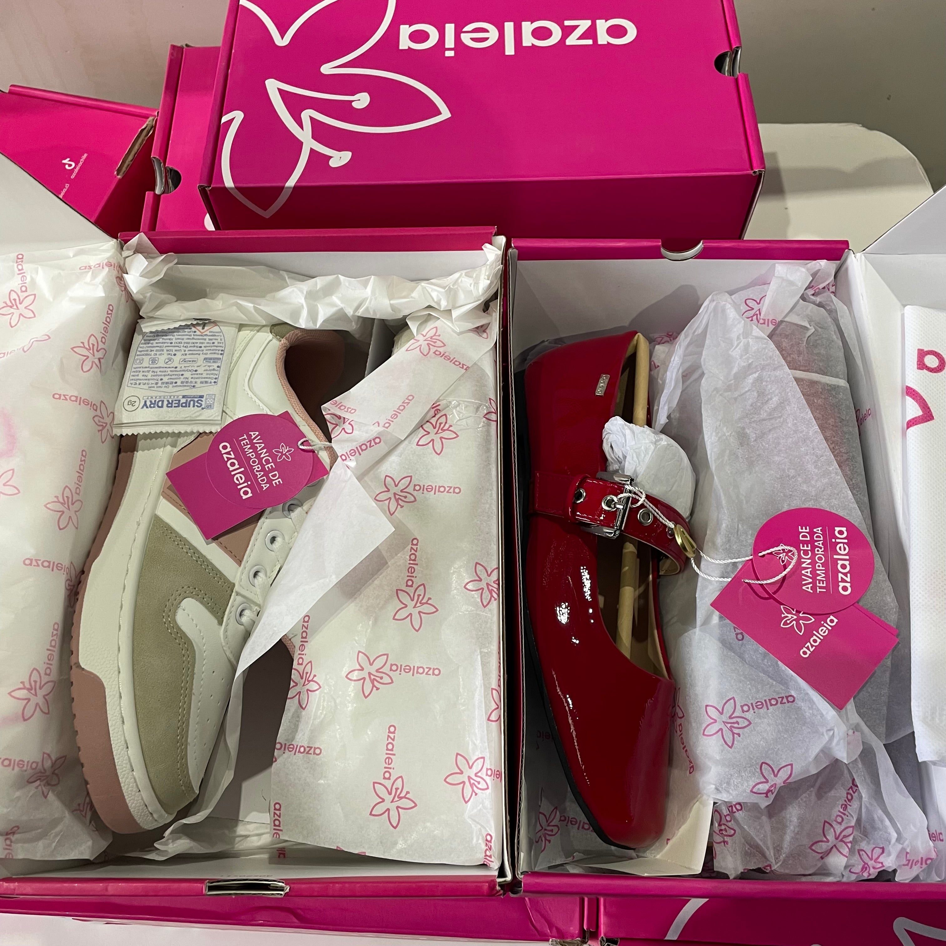 Gran Lote de Calzado de Marca