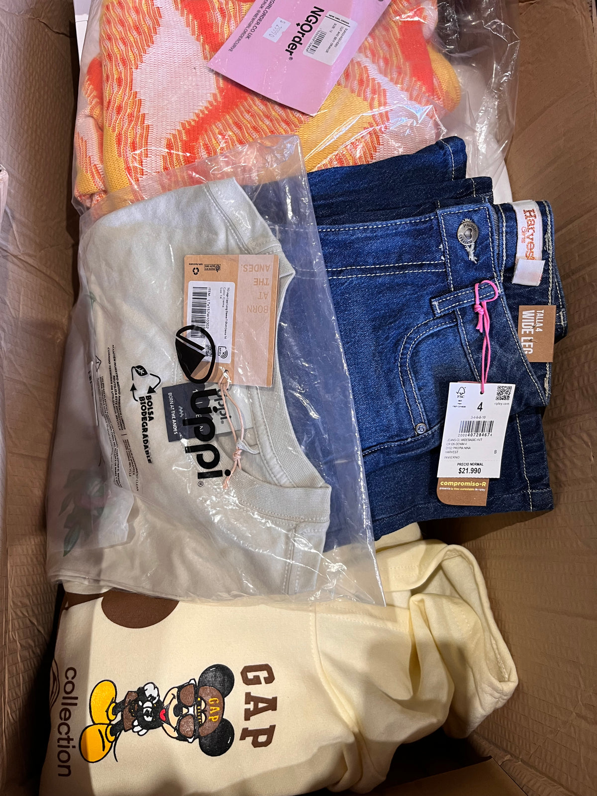 Lote de Ropa y Accesorios