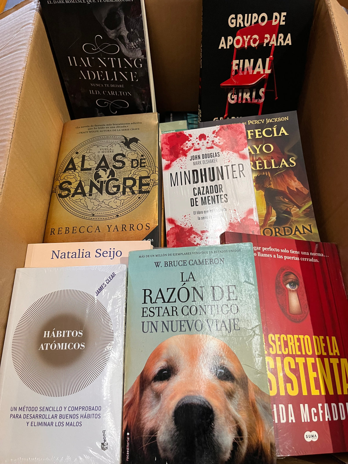 Lote de Librería y Oficina