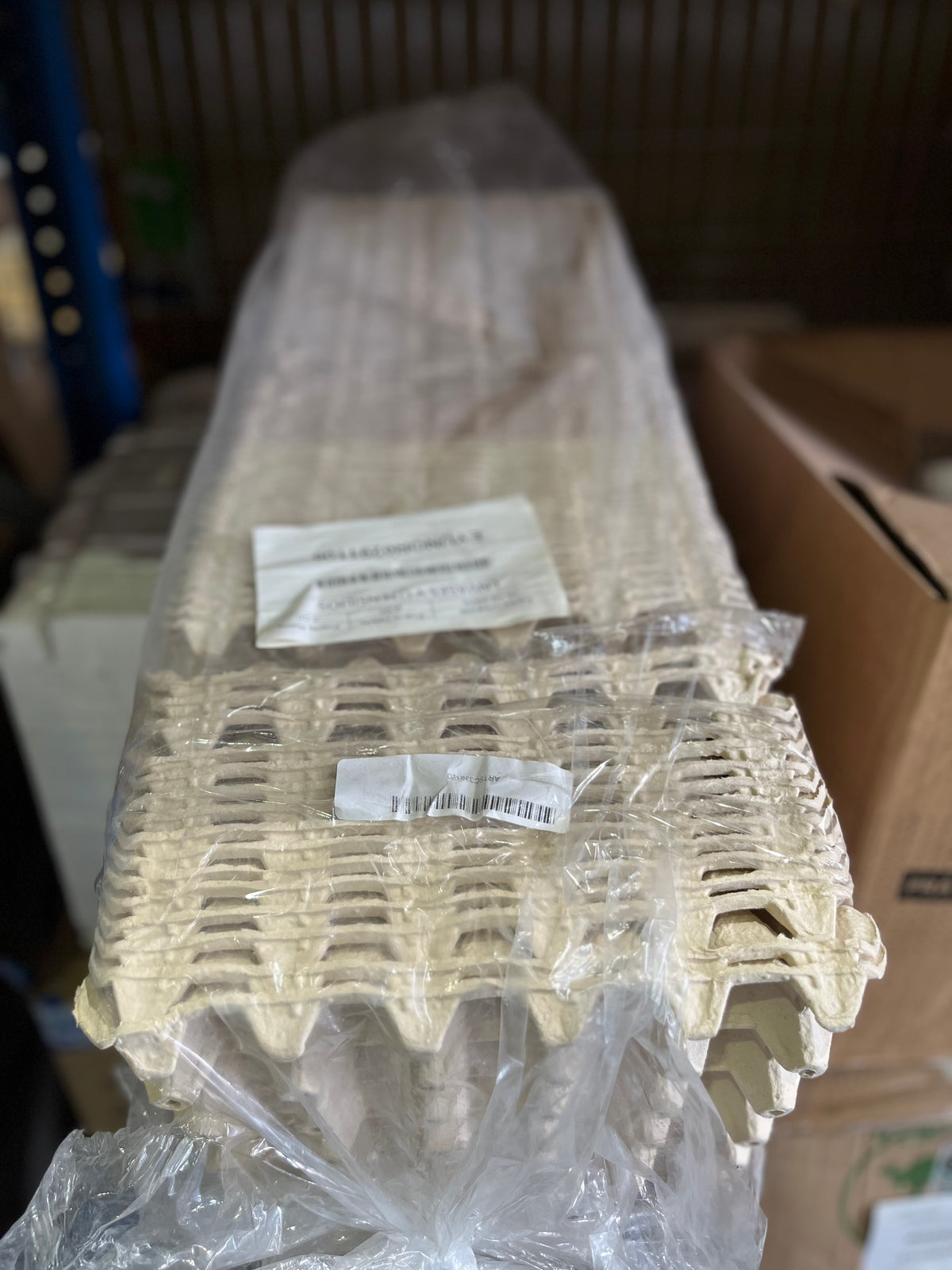Lote Envases, Embalaje y Packaging