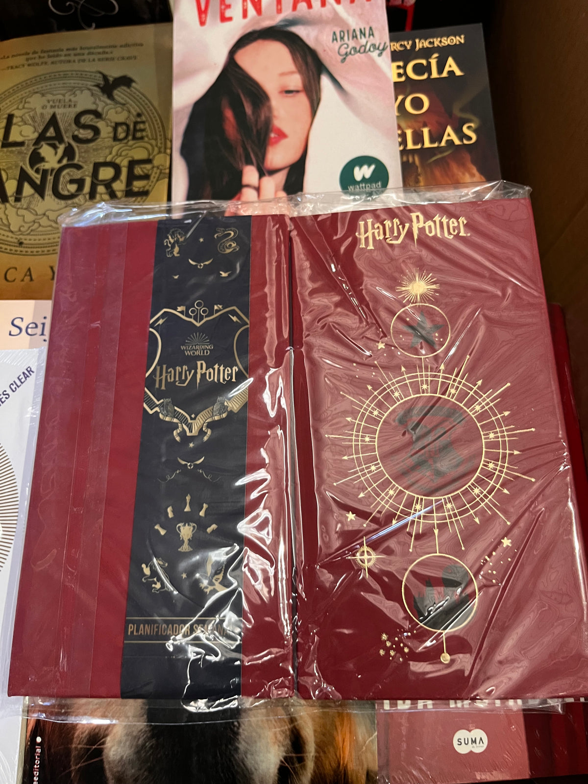 Lote de Librería y Oficina