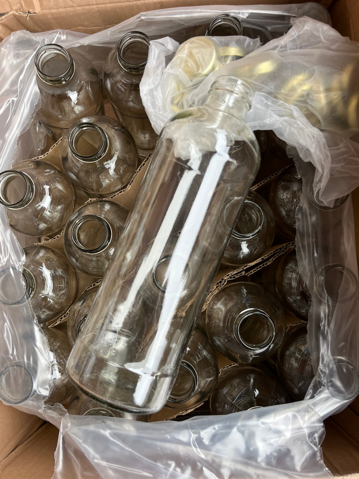 Lote Envases, Packaging y Utensilios